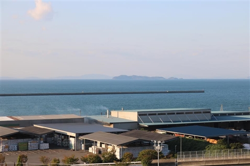 「猫の島」台風で衆院選投票できず　13日連続欠航で人間の食料が不足する事態に