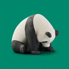 パンダの穴・へこむわ寝