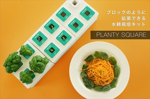 PLANTY SQUARE