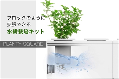 PLANTY SQUARE
