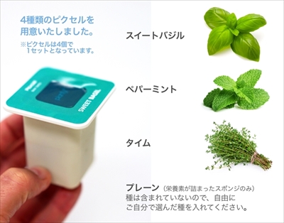 PLANTY SQUARE
