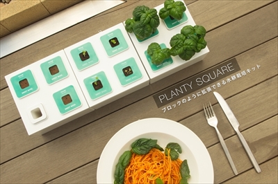 PLANTY SQUARE