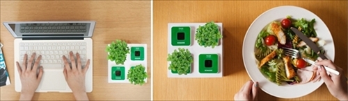 PLANTY SQUARE