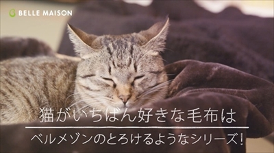 ベルメゾンとろけるようなシリーズ・猫動画