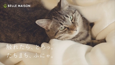 ベルメゾンとろけるようなシリーズ・猫動画