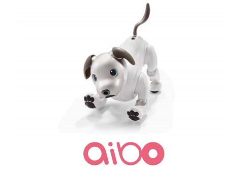 aibo