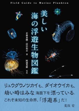美しい海の浮遊生物図鑑