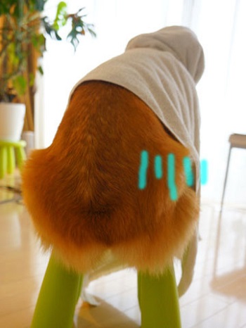 てるてる坊主