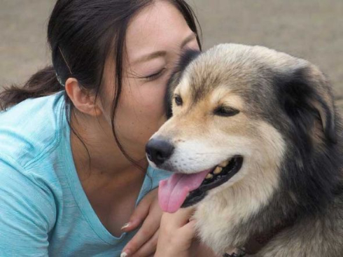 保護犬のわんこ プロジェクト 保護犬写真集 クラウドファンディング