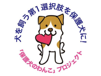 保護犬のわんこ プロジェクト 保護犬写真集 クラウドファンディング