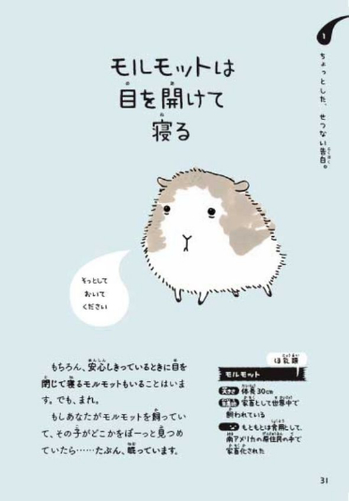 せつない動物図鑑