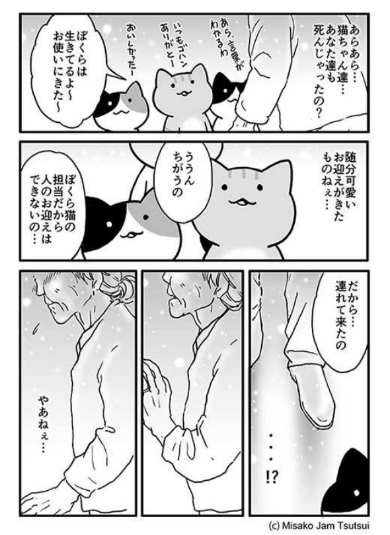 ずっと… 漫画 猫 おばあちゃん お迎え 貴女だけ