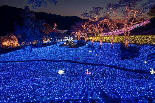 さがみ湖 イルミネーション
