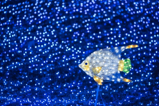 さがみ湖 イルミ