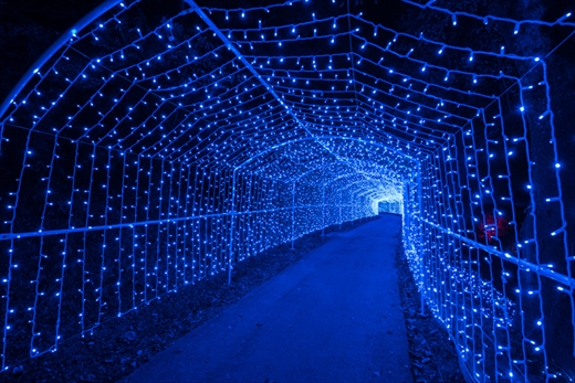 さがみ湖 イルミ