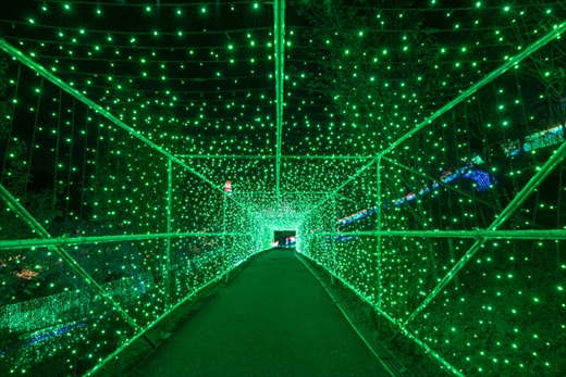 さがみ湖 イルミ