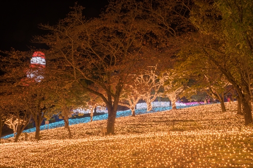 さがみ湖 イルミ