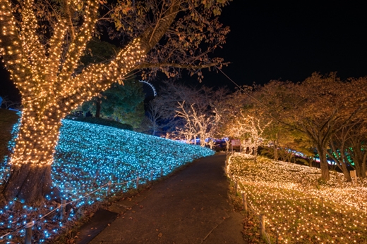 さがみ湖 イルミ
