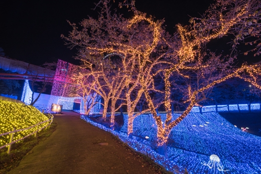 さがみ湖 イルミ