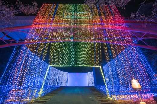 さがみ湖 イルミ