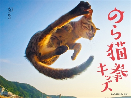 のら猫拳キッズ