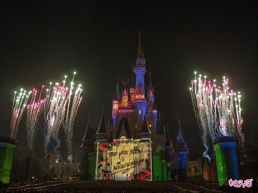東京ディズニーランド クリスマス