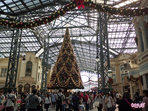 東京ディズニーランド クリスマスツリー