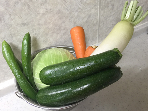 ののじ ピーラー 耳かき