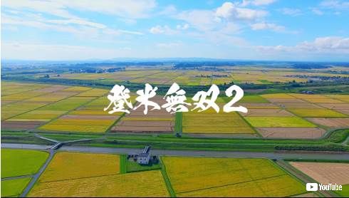 登米市 登米無双