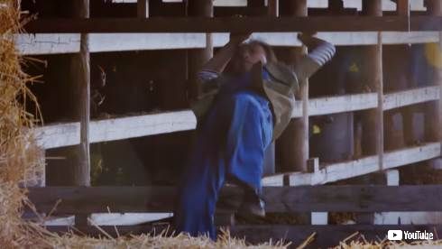 登米市 登米無双