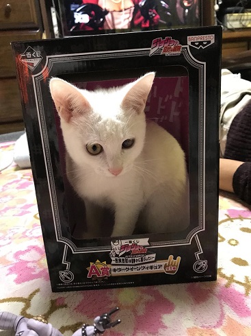 キラークイーン猫