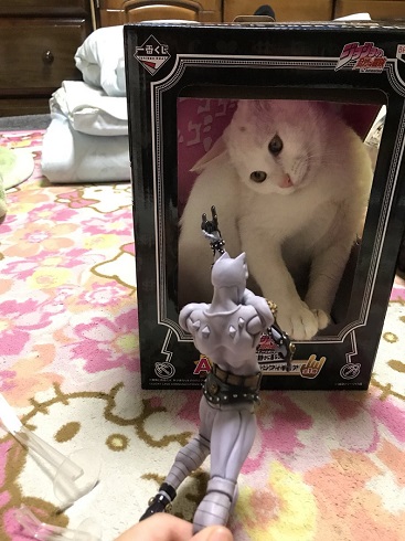 キラークイーン猫