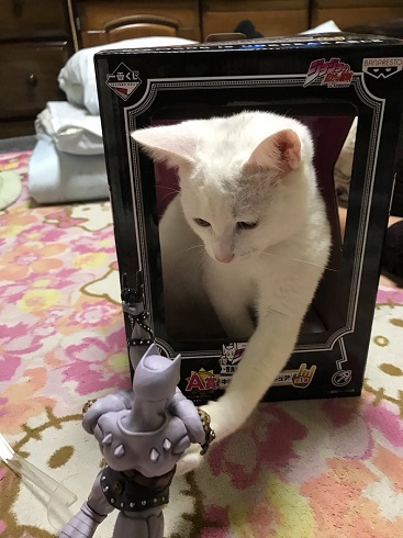 キラークイーン猫