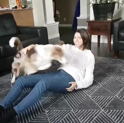 心肺蘇生ワンコ