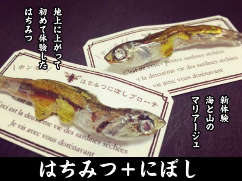 煮干し アクセサリー 髪留め デザフェス