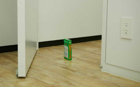 プリッツ ポッキー&プリッツの日 グリコ 2017 ポッキーじゃないほう