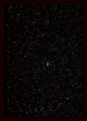 ほしあわせ 神経衰弱 ゲーム 中村誠