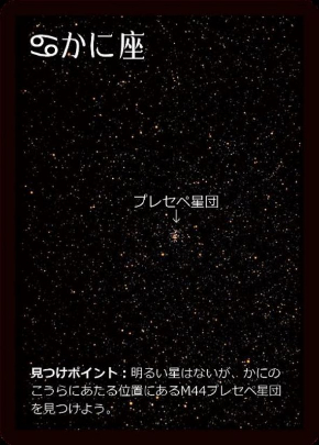 ほしあわせ 神経衰弱 ゲーム 中村誠