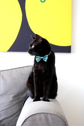 猫 ねこ ネコ 正装 首輪 付け襟 トラッド かわいい