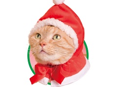 ☆雪だるまとリースが可愛いXmas猫ちゃんイヤリング☆ 7478a322cc6731fef6bb14b4c558a9