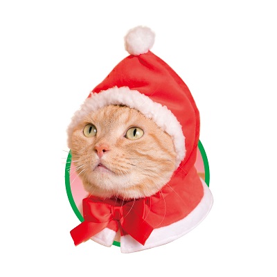 クリスマス サンタ ネコ ふわふわ ファンシー 今年は“ニャンタクロース”が現れる！ ねこのかぶりものガチャ