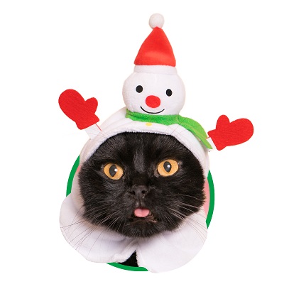 ☆雪だるまとリースが可愛いXmas猫ちゃんイヤリング☆ 7478a322cc6731fef6bb14b4c558a9