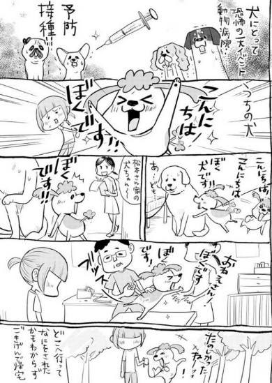 犬 猫 漫画 動物病院 松本ひで吉