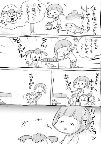 犬 猫 漫画 動物病院 松本ひで吉