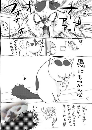犬 猫 漫画 動物病院 松本ひで吉