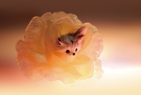 西本喜美子 遊ぼかね エプサイト 写真 展覧会