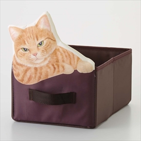 猫収納ボックス