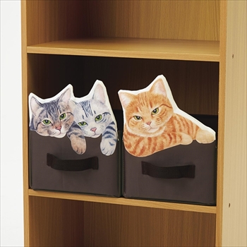猫収納ボックス