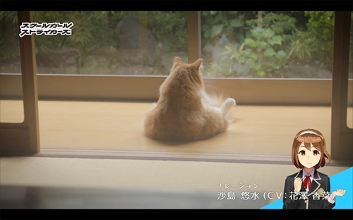 きょうの隊長さん