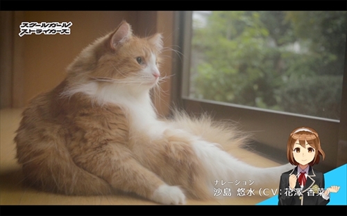 きょうの隊長さん